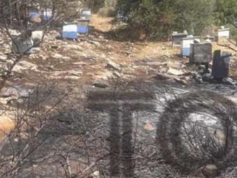 Από αδήλωτα μελίσσια ξεκίνησε η φωτιά στην Πολυτεχνειούπολη - Πρόστιμο και στον πρύτανη του ΕΚΠΑ