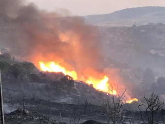 Φωτιά στην Κύπρο: Δεν υπάρχουν πλέον ενεργά μέτωπα - Η Λευκωσία ευχαριστεί τις χώρες που βοήθησαν στην κατάσβεση