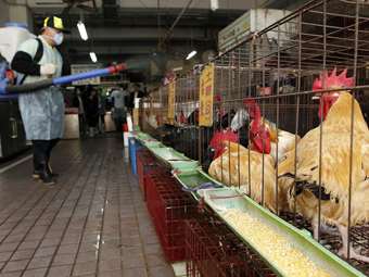 Πρώτος θάνατος ανθρώπου παγκοσμίως εξαιτίας της γρίπης των πτηνών