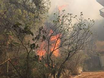 Φωτιά σε χαμηλή βλάστηση στην Σκοτεινή Αργολιδας - Ήχησε το 112