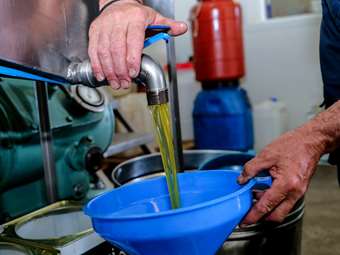 Τι συμβαίνει με την τιμή και τη φήμη του ελληνικού ελαιολάδου