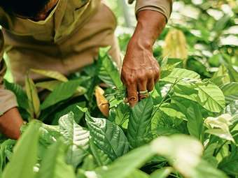 Mars: Σχέδιο δράσης για τη μείωση των εκπομπών CO2 κατά 50% έως το 2030