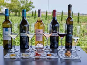 ΕΟΤ: Προβολή στην Ιαπωνία της ελληνικής κρουαζιέρας και του οινικού τουρισμού