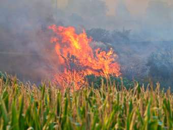 Σε εξέλιξη δυο φωτιές στην Κοζάνη σε δύσβατη περιοχή