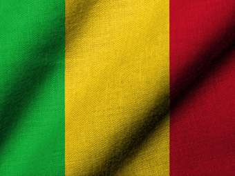 Μαλί: Αναστολή των δραστηριοτήτων των πολιτικών κομμάτων για λόγους ασφαλείας