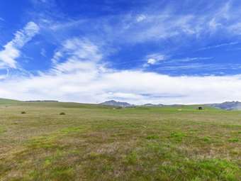 Σχεδόν 702.000 οι δηλώσεις καθαρισμών των οικοπέδων