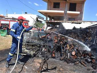 Bloomberg: Η Ελλάδα επενδύει πάνω από 2 δισ. ευρώ για την καταπολέμηση των επιπτώσεων της κλιματικής αλλαγής
