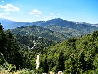 Ελεγκτικό Συνέδριο: "Πραγματοποιούνται πολύ λιγότερες αναδασώσεις από εκείνες που είχε προγραμματιστεί να γίνουν"