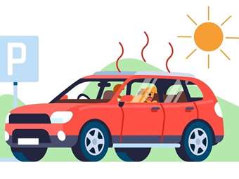 Καύσωνας: Τι πρέπει να προσέξω στο αυτοκίνητό μου