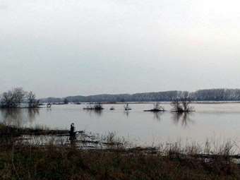 Τουρκία: "Επτά τρομοκράτες" (μέλη του PKK και του δικτύου Γκιουλέν) συνελήφθησαν ενώ προσπαθούσαν να περάσουν στην Ελλάδα