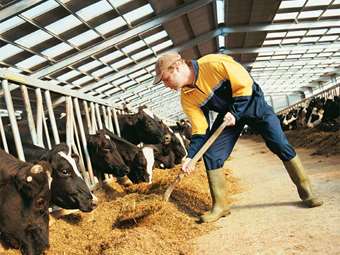 Νέα ενισχυμένη στήριξη των κτηνοτρόφων με 50% αύξηση της αποζημίωσης για ζωοτροφές