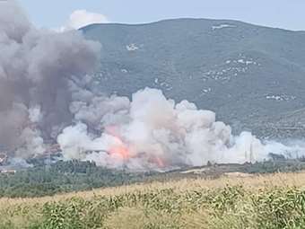 Φωτιά στο Γεράκι Αμαλιάδας - Μήνυμα από το 112 στους κατοίκους της περιοχής