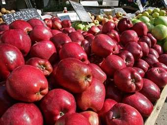 ΣΕΚΛΑ: Γιατί η τιμή ενός μήλου από 0,70 ευρώ το κιλό στο δέντρο, φτάνει στο 1,70 ευρώ το κιλό στον καταναλωτή