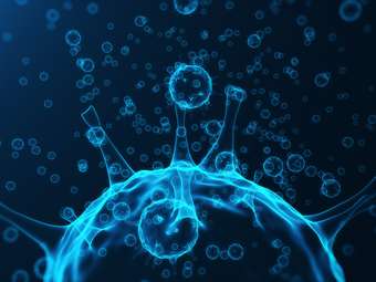 Τι έχει αλλάξει φέτος και γιατί μιλάμε για "υπεργρίπη": Ο ρόλος του νέου υποκλάδου Κ - Συναγερμός για την εορταστική περίοδο