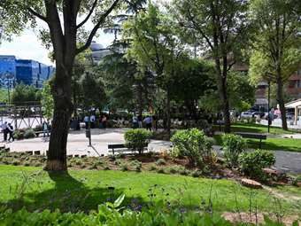 Εγκρίθηκε ο νέος Κανονισμός Πρασίνου του δήμου Αθηναίων