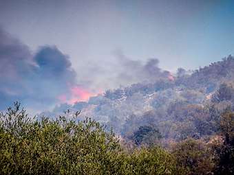 Ηράκλειο: Επιχείρηση της Πυροσβεστικής για φωτιά στον Δήμο Γόρτυνας