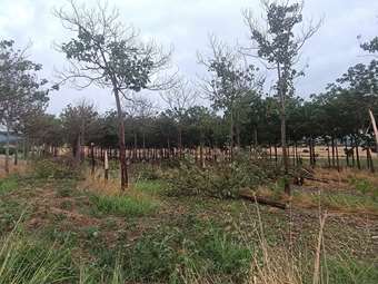 Έντονη κακοκαιρία στον Δομοκό - Σοβαρές ζημιές σε καλλιέργειες και υποδομές