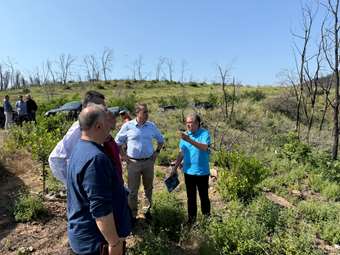 Στ. Παπασταύρου από Έβρο: Τα δάση της Κίρκης στέλνουν μήνυμα ελπίδας και αναγέννησης
