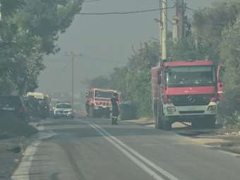 Ξάνθη: Υπό έλεγχο η φωτιά στην Γενισέα του δήμου Αβδήρων