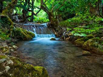 Παύλιανη: Χτίζουν υδροηλεκτρικό μέσα σε έναν φυσικό παράδεισο