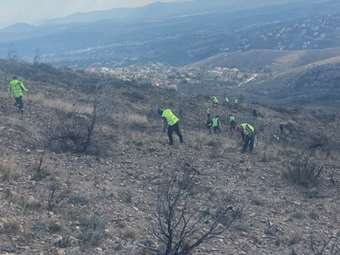 "Συμμαχία" επιχειρήσεων για την αναδάσωση του Αγίου Στεφάνου - Θα φυτευθούν 35.000 δενδρύλλια