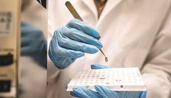 Οι επιπτώσεις των μικροπλαστικών στον οργανισμό μας