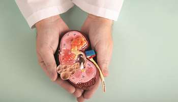 Η έρευνα στις μεταμοσχεύσεις προχωρά: Πού βρισκόμαστε