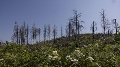 North Evia Pass 2025: Από σήμερα αιτήσεις μέσω του vouchers.gov.gr