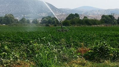 Αγροτικές επιδοτήσεις: Το υβριδικό μεταβατικό σύστημα πληρωμών και ελέγχων για το 2025 - Τι αλλάζει το 2026