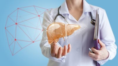 Πότε το λίπος στο συκώτι είναι επικίνδυνο και για ποιους λόγους