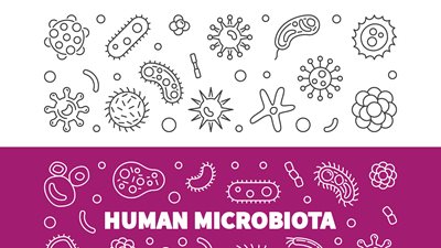 Τα… μικρόβια που θα σας βοηθήσουν να χάσετε βάρος