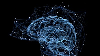 Σε ποια ηλικία "ρίχνει στροφές" ο εγκέφαλός μας;