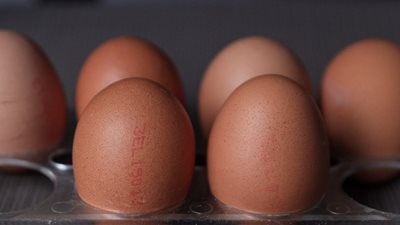 Μανία με την πρωτεΐνη: Πότε η υπερκατανάλωση μπορεί να μας κάνει κακό τελικά