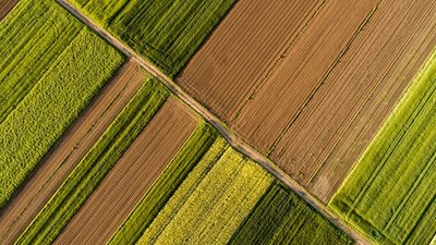 FAO: 1,7 δισ. άνθρωποι βιώνουν τις συνέπειες της ανθρώπινης παρέμβασης στο περιβάλλον