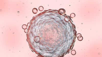 Γ. Καλογήρου: Να καλύπτεται από τα ταμεία η κρυοσυντήρηση ωαρίων