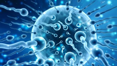 Επηρεάζει η λοίμωξη με SARS-CoV-2 την ανδρική γονιμότητα;