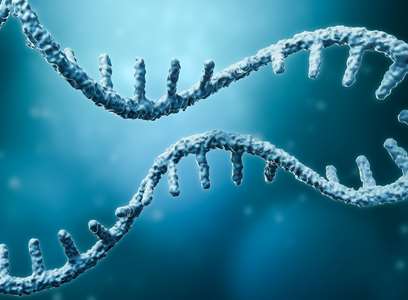 Πώς το mRNA κατάφερε να ανανεώσει το γερασμένο ανοσοποιητικό σύστημα και να γυρίσει πίσω το "ρολόι" των ανοσοκυττάρων