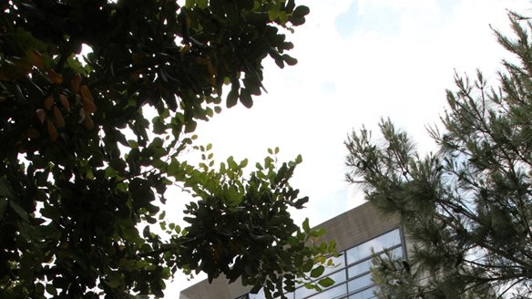 H Lenovo No 1 για άλλη μία φορά