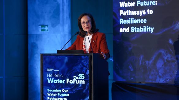 Άννα Διαμαντοπούλου: "Είναι μεγάλη η ανάγκη για νέο εθνικό σχέδιο υδατικής ανθεκτικότητας"
