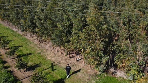 Η ProspecTree Επαναπροσδιορίζει την Πράσινη Ιδιοκτησία στην Ψηφιακή Εποχή