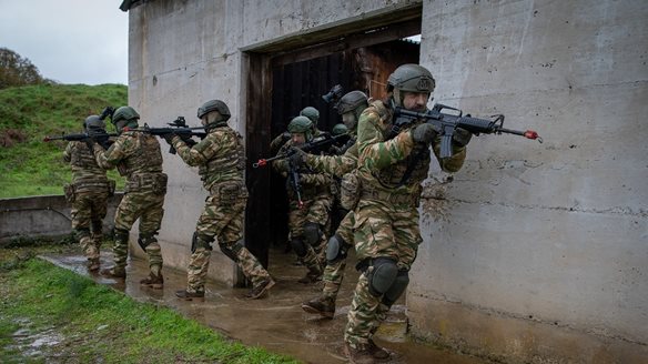 Ολοκληρώθηκε η άσκηση "Πελταστής - 25"