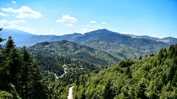 Ελεγκτικό Συνέδριο: "Πραγματοποιούνται πολύ λιγότερες αναδασώσεις από εκείνες που είχε προγραμματιστεί να γίνουν"