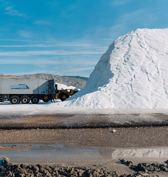 Εκκίνηση διεθνούς διαγωνισμού από το Υπερταμείο για την είσοδο στρατηγικού επενδυτή στις Ελληνικές Αλυκές Α.Ε.