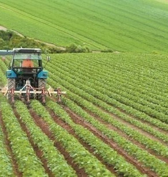 Πληρωμές 487,9 εκατ. από ΟΠΕΚΕΠΕ και ΕΛΓΑ σε 485.896 δικαιούχους