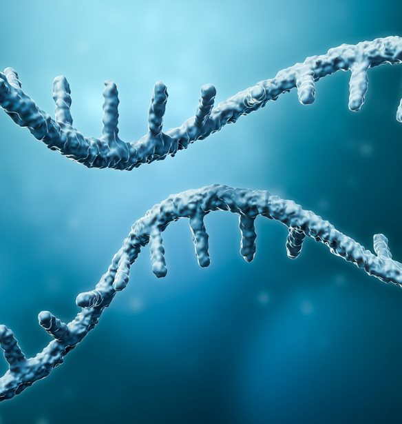 Πώς το mRNA κατάφερε να ανανεώσει το γερασμένο ανοσοποιητικό σύστημα και να γυρίσει πίσω το "ρολόι" των ανοσοκυττάρων