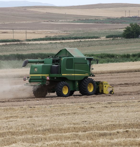 Νέα μείωση 5,5% των τιμών εκροών σε γεωργία – κτηνοτροφία τον Οκτώβριο