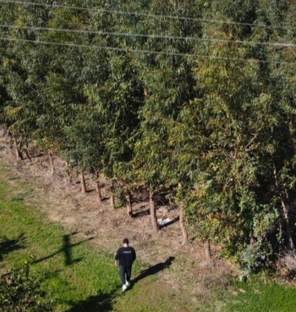 Η ProspecTree Επαναπροσδιορίζει την Πράσινη Ιδιοκτησία στην Ψηφιακή Εποχή