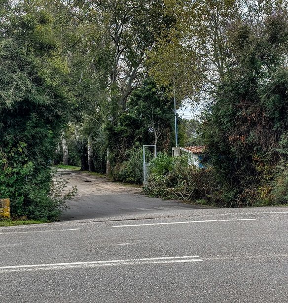 Φοινικούντα: Νέα σύλληψη για τη διπλή δολοφονία - Παραδόθηκε ο 30χρονος που βρισκόταν στη Γερμανία