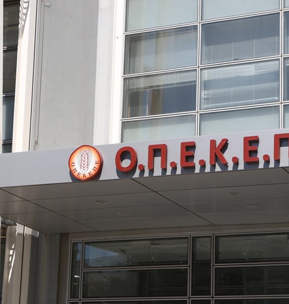 ΟΠΕΚΕΠΕ: Ελεύθερες η πεθερά του φερόμενου ως αρχηγού και μία ακόμη κατηγορουμένη στην υπόθεση του κυκλώματος από την Κρήτη