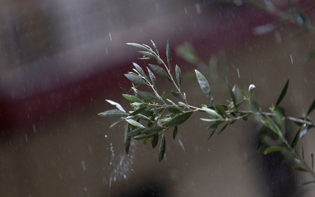 Καταρρακτώδεις βροχές πλήττουν Ιωάννινα και Θεσπρωτία - Κεραυνός έπεσε σε στέγη πολυκατοικίας